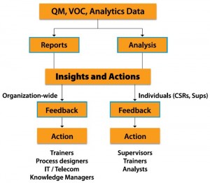 QM and VoC Insights Drive Action